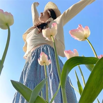 红苹果2023